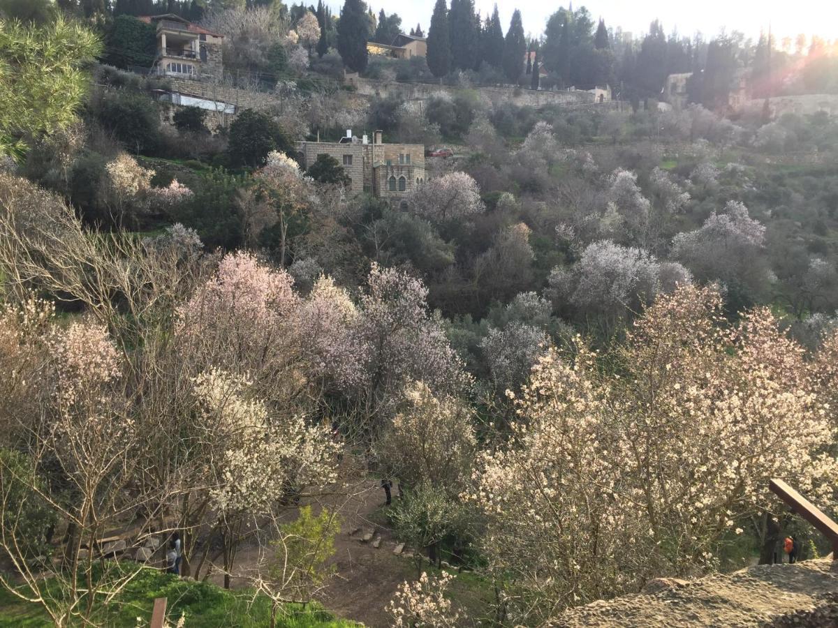 Sweet 'En Kerem View Bed & Breakfast Jerusalem Eksteriør bilde